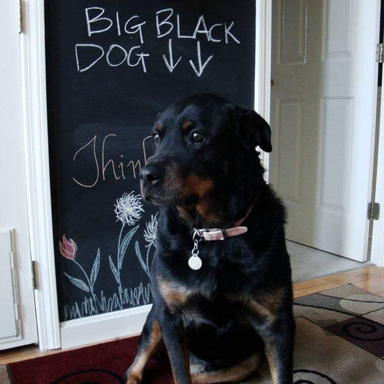 snoogg 24x 72 inch blackboard vinyl paper removable bulletin wall sticker free 5 colorful c