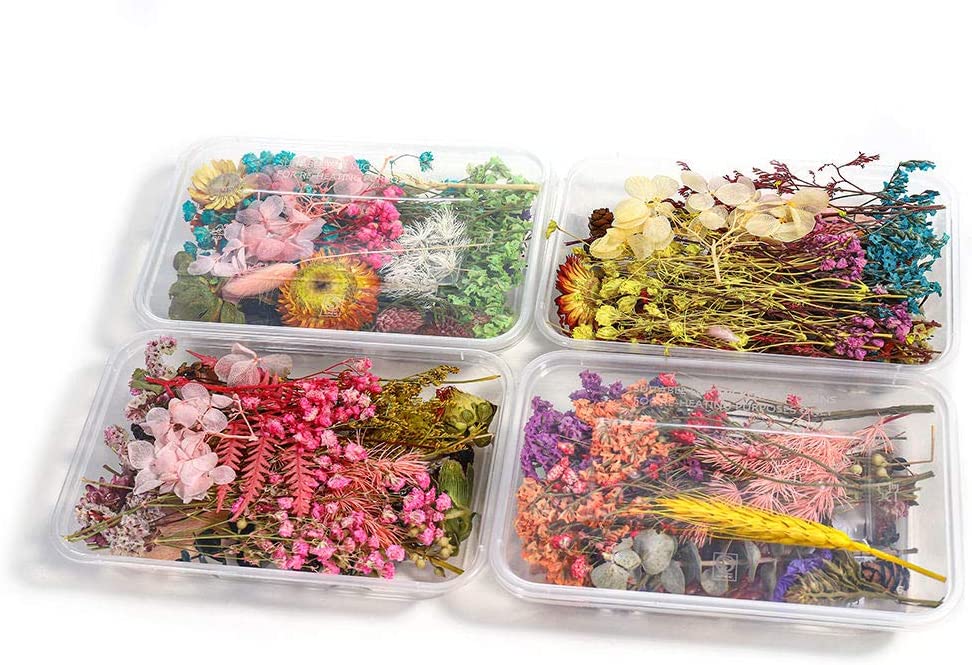 snoogg pack of ten resin art essential moisture less random real dried flower resin mould f
