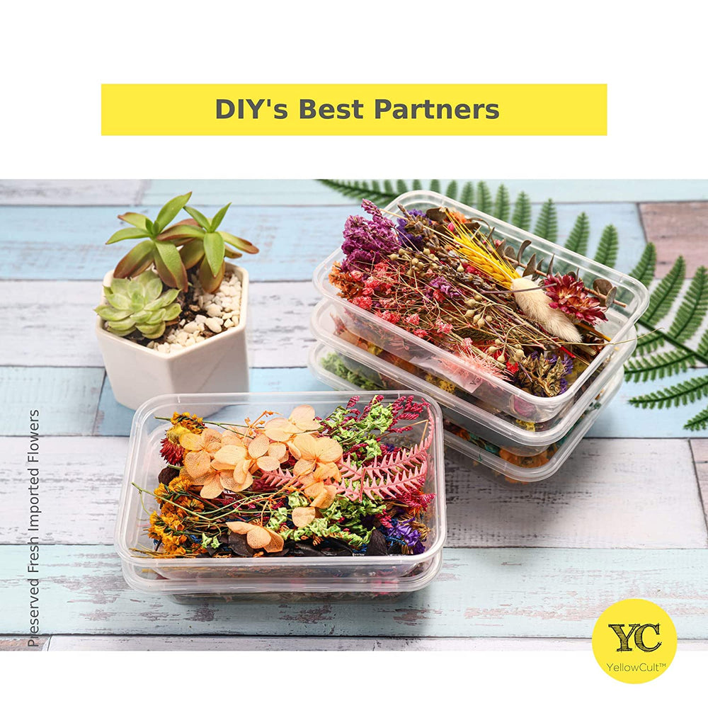 snoogg resin art essential moisture less random real dried flower resin mould fillings for