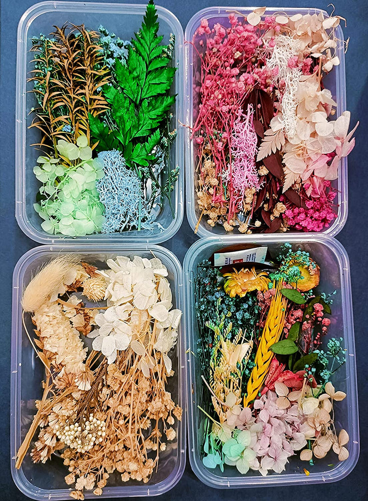 snoogg pack of ten resin art essential moisture less random real dried flower resin mould f