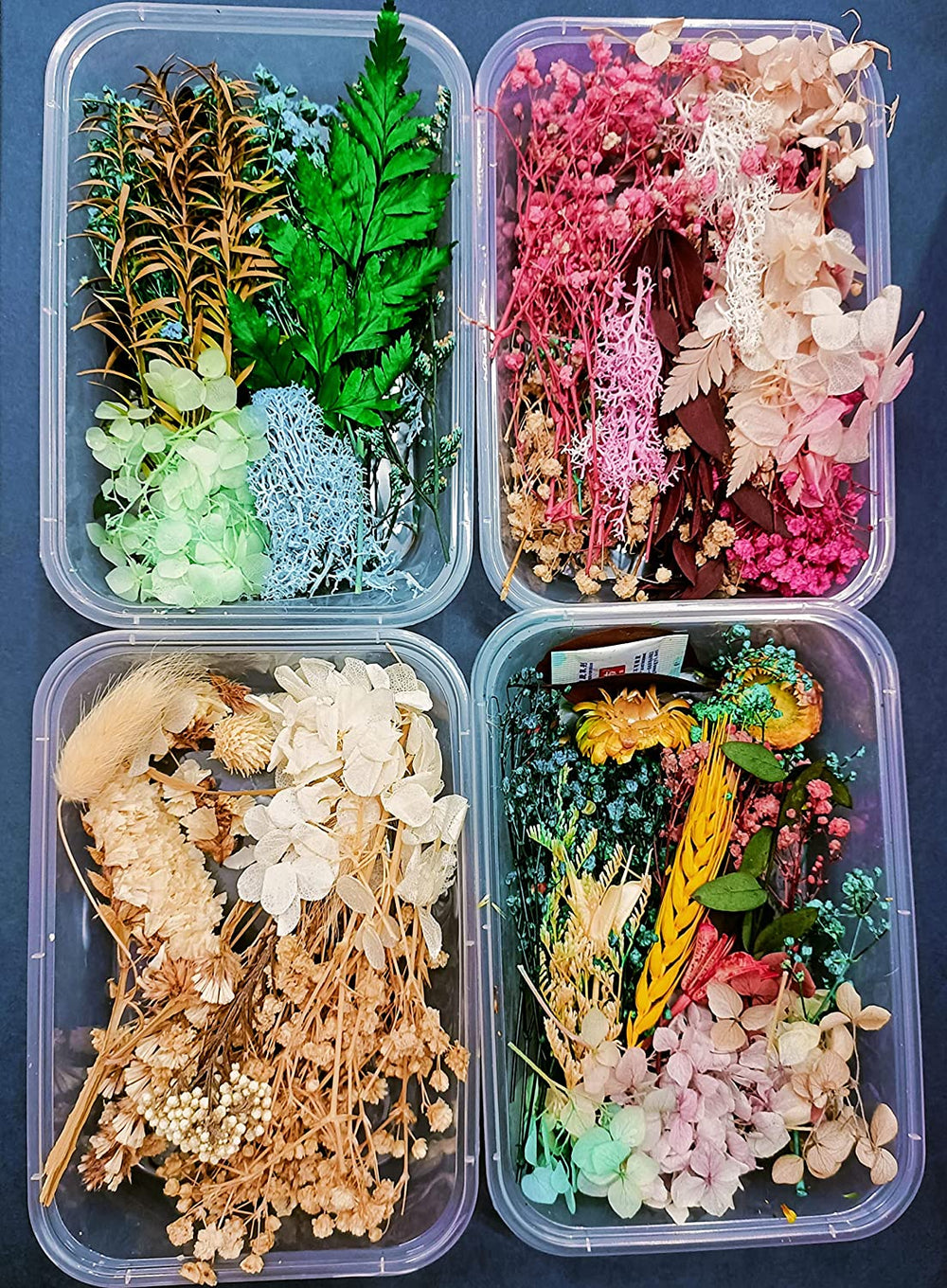 snoogg resin art essential moisture less random real dried flower resin mould fillings for