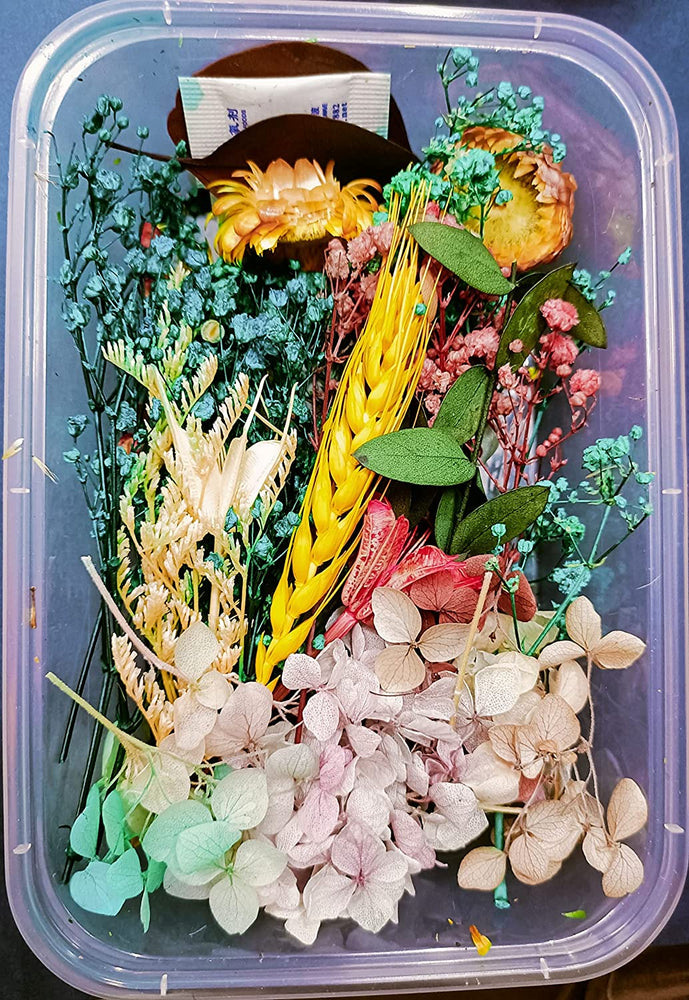 snoogg pack of ten resin art essential moisture less random real dried flower resin mould f