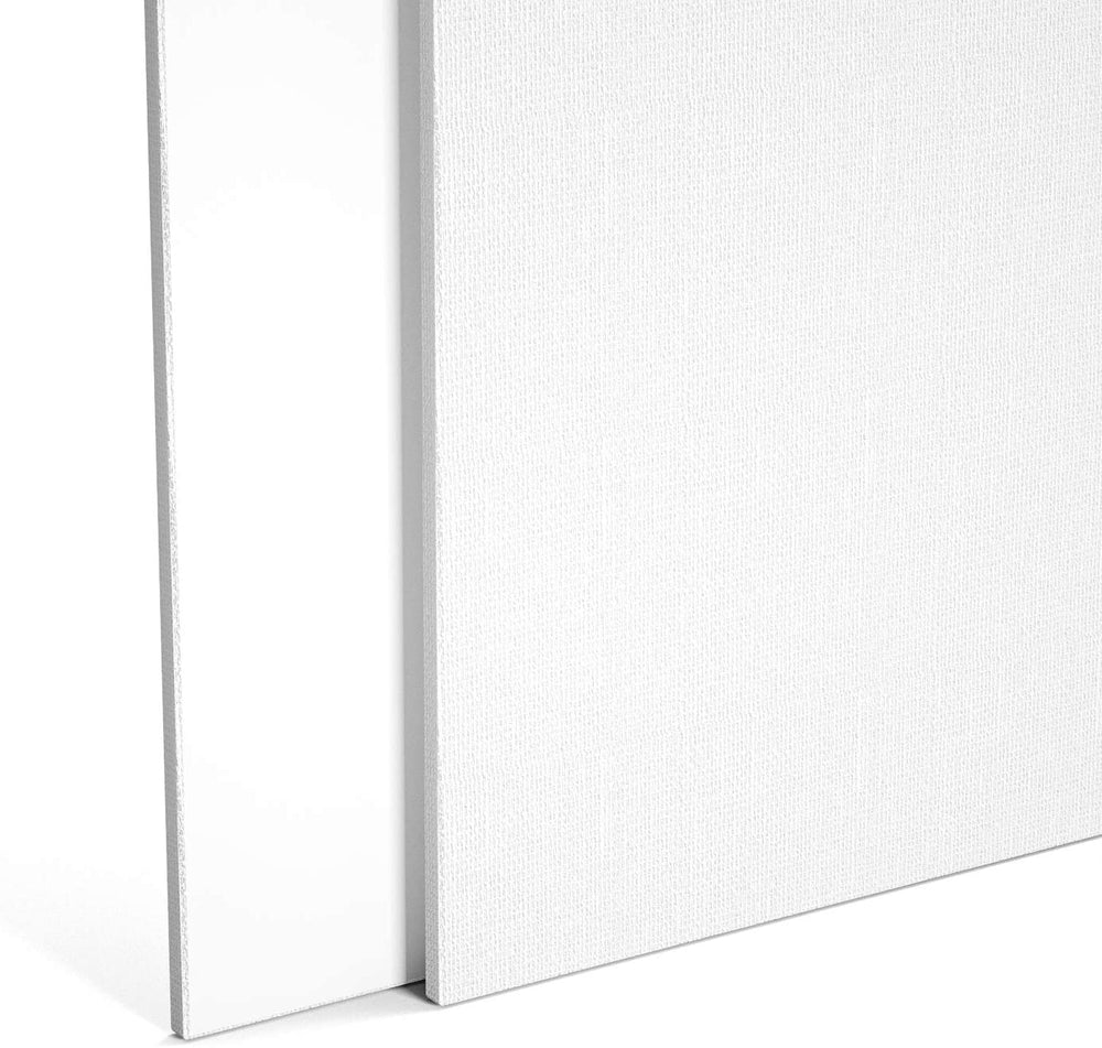 snoogg art material canvas board rsg cab 831 20x24