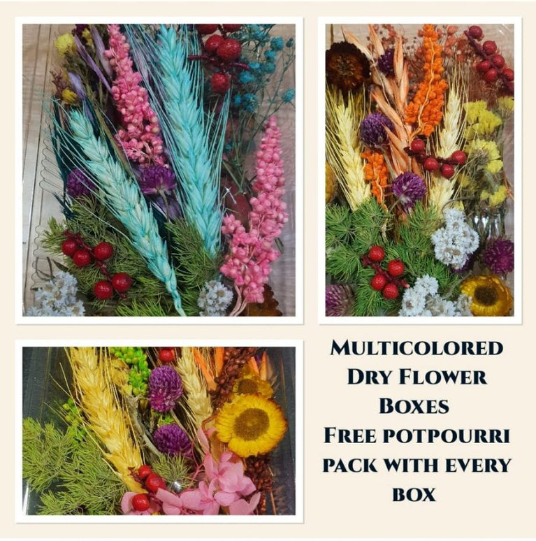 snoogg pack of ten resin art essential moisture less random real dried flower resin mould f