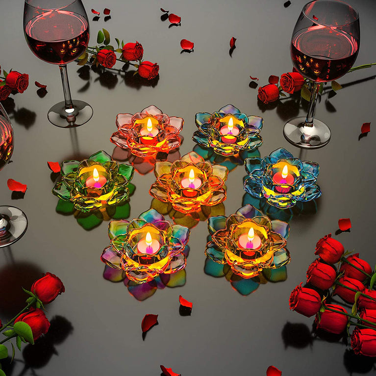 lotus offer