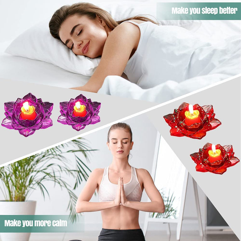 lotus offer