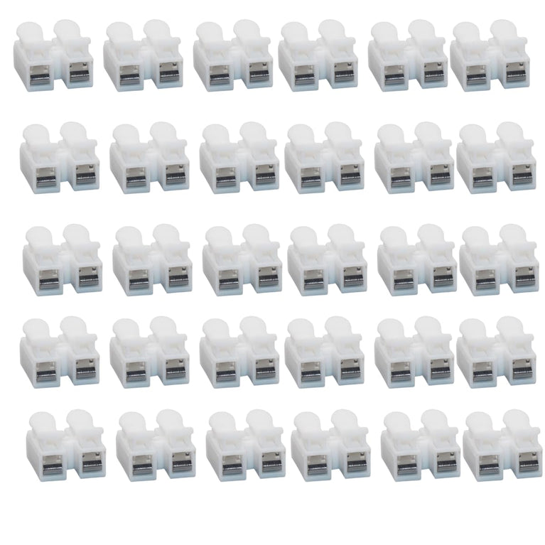 SNOOGG 30 Pack 2 Pin Wire Connectors, Spring Wire Connectors Terminal Cable Clamp Connectors, Quick Terminal Wire Connector for Wire LED Strip Light Wire Connecting