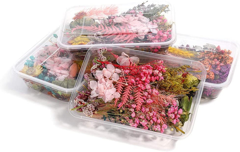 SNOOGG Pack of Ten RESin Art Essential Moisture Less Random Real Dried Flower RESin Mould Fillings for Epoxy RESin Molds Jewelry Making Craft DIY Accessories