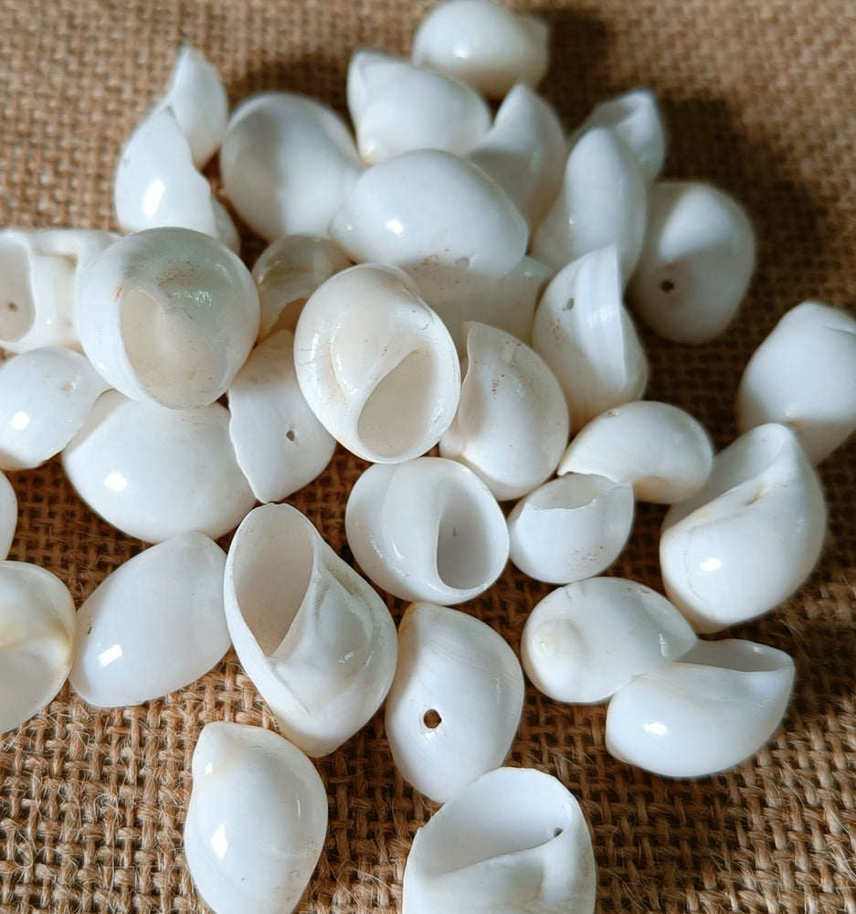 Artificial stone  perfect for under Sea uses. It is hard stone . mix size approx. 10-to 15 mm. Sold 100 Gram Packet.